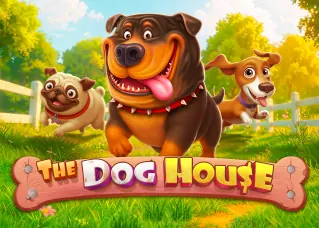 mega777 The Dog House ทดลองเล่นฟรี